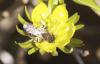 248430 – Photo : Lidine – France (67)